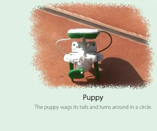 puppygif1